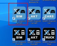 Xentry sim.jpg