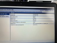 photo_2024-10-13_20-42-44.jpg photo_2024-10-13_20-42-44.jpg