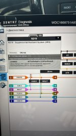 WhatsApp Image 2025-07-31 at 17.32.51.jpeg